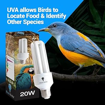 Amazon.com: Bluex Bulbs Reptile 20W UVB 2.4 Bird CFL SKU 120